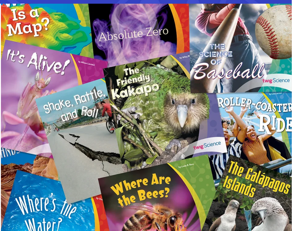 树枝教育网【纯英】